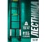 Телескопическая алюминиевая бытовая лестница ROCKFORCE 5.8 м RF-UP580 2