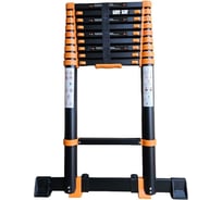 Телескопическая лестница WORKY black max 3,9м 10 ступеней ARD258341