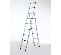 Лестница стремянка телескопическая WORKY 9+7 ступеней 2,6м + 2,0м ARD259777