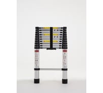 Лестница телескопическая WORKY стальная 3,5м, 9 ступеней ARD259945