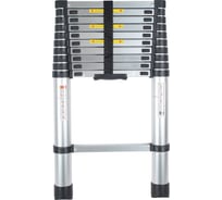 Телескопическая лестница ПОЛЕСАД 3,2 м, масса 10 кг, нагрузка до 150 к,11 ступеней 019968