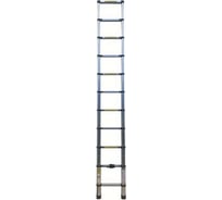 Телескопическая лестница 10 ступеней, Variant 2.9м . ТЛ110