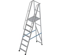 Лестница-платформа MEGAL фиксированной высоты - ЛПФВА Н=2.0-6 040905
