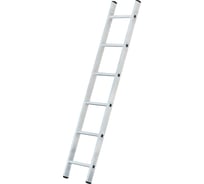 Лестница односекционная алюминиевая ООО "ЛУЧ" АЛ 1x6 П60