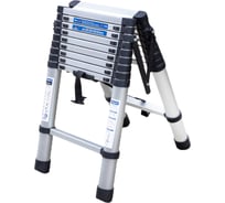 Стремянка телескопическая алюминиевая бытовая Scheppach 2.9м, 10+10 ступеней Sch-UP290-2(62500)