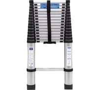 Лестница телескопическая алюминиевая бытовая Scheppach 4.7м, 16 ступеней Sch-UP470(62495)