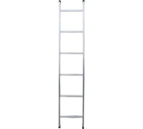 Алюминиевая односекционная приставная лестница ООО "РИЗ" 1х6 LAO1X6