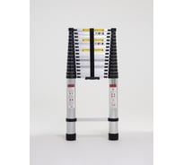 Лестница телескопическая WORKY 9,0м, 20 ступеней ARD260722