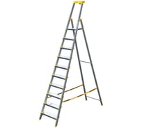 Стремянка алюминиевая Алюмет с анодированным покрытием профессиональная, широкими ступенями 10 ступеней и органайзером. Серия AS710AK015