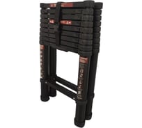 Cтремянка телескопическая Сорокин 2,9м 24.290