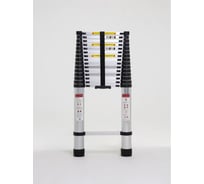 Лестница телескопическая Pegas pneumatic 6,2 м 16 ступеней 7003