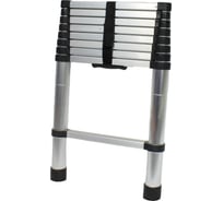 Телескопическая лестница стремянка GoGo TELESCOPE 2.6 м TL-260