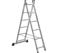 Лестница двухсекционная Gigant L-02 L-150-2x6