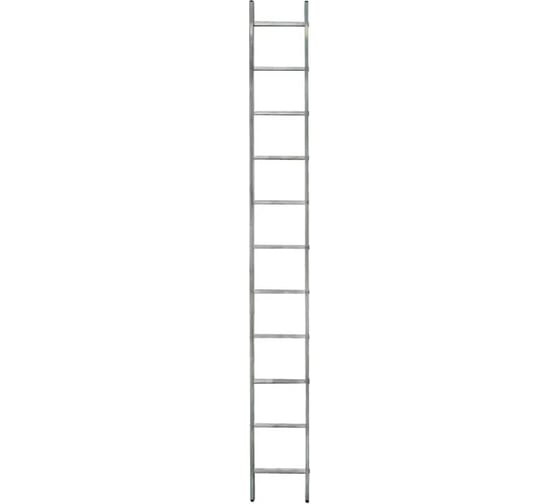Лестница приставная односекционная СИЛАЧ 11 ступеней, 1х11, 3,13 м 026142
