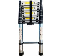 Телескопическая лестница SevenBerg QH-15 5,8 м.