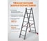 Лестница алюминиевая двухсекционная 318 см STARTUL PRO ST9947-07 ЦБ-1583856340 12