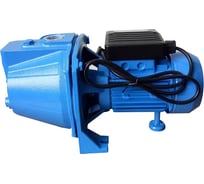 Поверхностный насос PROFLINE 800 вт, чугун AUTOJET-800 CS УТ-00037153
