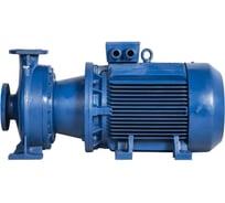 Насос ETNA ear 65-20/110 0344311011