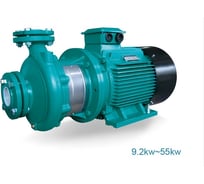 Центробежный моноблочный насос LEO XST 50-250/185, 18,5 кВт, 380В, Qmax. 84,0 m3h, Hmax. 77 m 1929