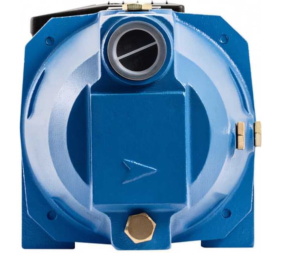 Поверхностный насос UNIPUMP ECO JET 100 LA 22419