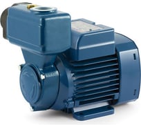 Насос PEDROLLO PKSm 80 41PMA81A1