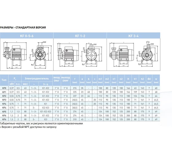 Насос SAER KF 6 230V 100548255