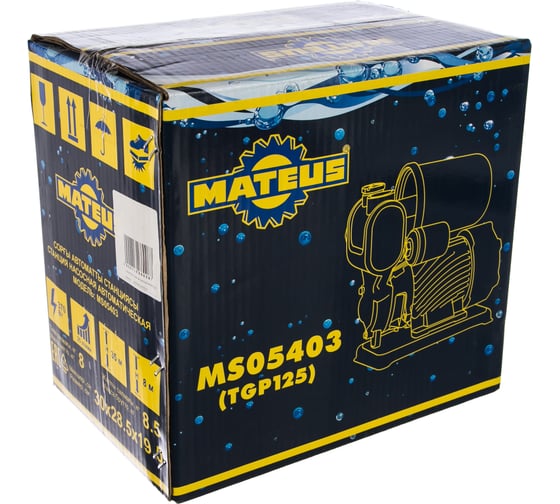 Автоматическая насосная станция MATEUS TGP125 MS05403
