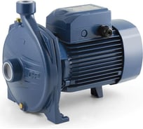 Насос Pedrollo CP 25/160 AR 44CT23AR7A