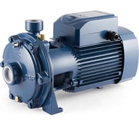Насос Pedrollo 2 CP 25/130 N 452CT130A