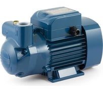 Насос Pedrollo CK 50 BP 46CKT56A