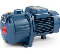 Насос Pedrollo 3 CP 100-C 43CPN284A