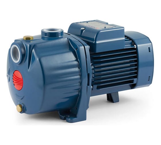 Насос Pedrollo 3 CP 100-C 43CPN284A 1