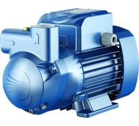 Насос Pedrollo CKRm 80 E 46CKER80A1