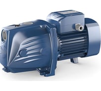 Насос Pedrollo JSWm 2 CX 46JSNP7A10A1