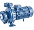 Моноблочный фланцевый насосный агрегат Purity PSTC 50-250/150 (N) 100588217 1