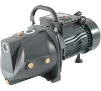 Поверхностный насос UNIPUMP JSW 55 садовый 17048