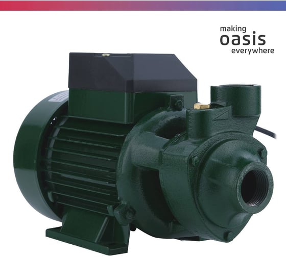 Поверхностный вихревой насос OASIS PS-750V