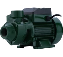 Поверхностный вихревой насос OASIS PS-550V