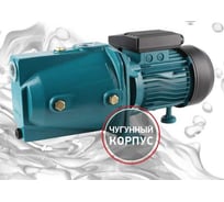 Насос поверхностный PROFLINE LUX 1000/44C УТ-00048580