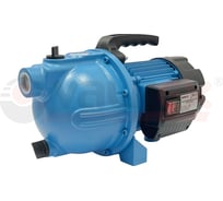 Насос поверхностный Valfex 60/35 Ч (1) VF.P.60.35.CH