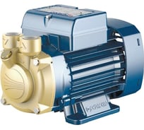 Насос PEDROLLO PVm 70-NBR 41PNV70A1