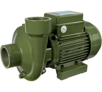 Насос SAER BP4 230V 100548167