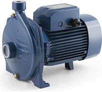 Насос PEDROLLO CP 250 B-N 44CP250BNE