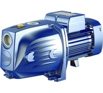 Насос PEDROLLO JSWm 1BX 46JSNP1BA1