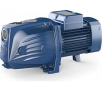 Насос PEDROLLO JSWm 1 AX -N 46JSNP1AA1