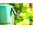 Садовый насос Bosch GardenPump 18 06008C4200 22
