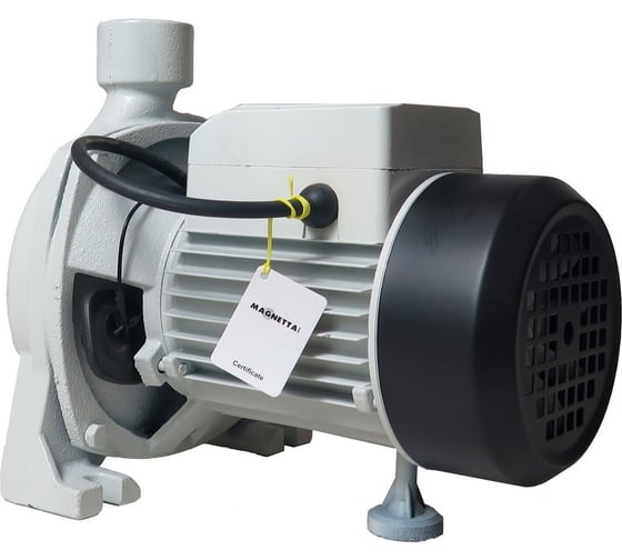 Центробежный насос MAGNETTA CPm130 1