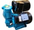 Насосная станция GREENPUMP WZ 370 с баком 2 л 20000881 1