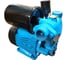 Насосная станция GREENPUMP WZ 370 с баком 2 л 20000881 2