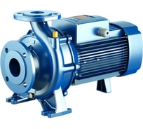 Насос PEDROLLO F 100/160 A-N без контрфланцев 4FNA10160ANE